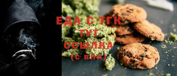 дживик Ельня