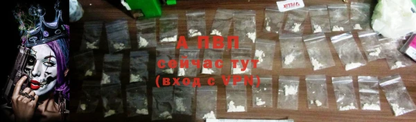 дживик Ельня
