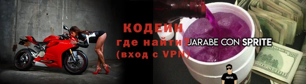 дживик Ельня