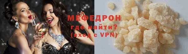 дживик Ельня