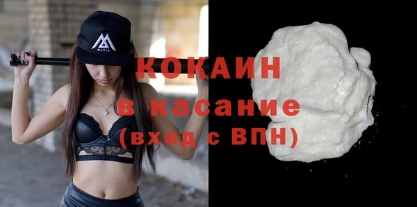 дживик Ельня