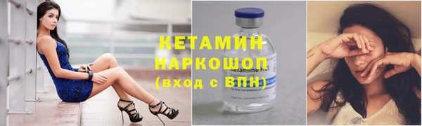 дживик Ельня