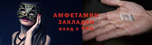 дживик Ельня