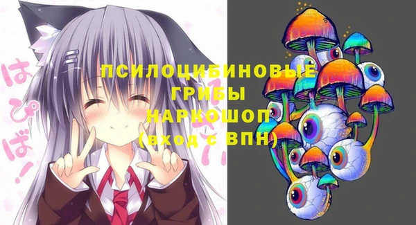 дживик Ельня