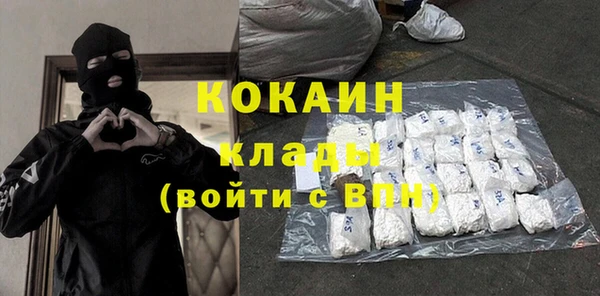 дживик Ельня