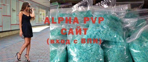 дживик Ельня