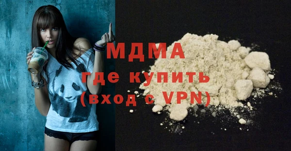 дживик Ельня