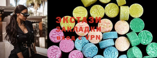 дживик Ельня