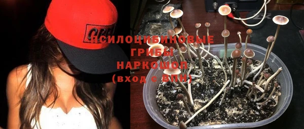 мдпв Гусиноозёрск