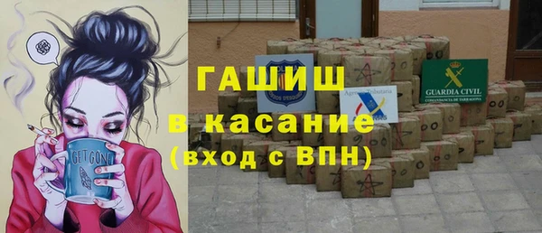 дживик Ельня