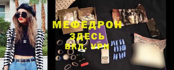 дживик Ельня