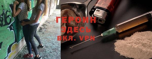 дживик Ельня