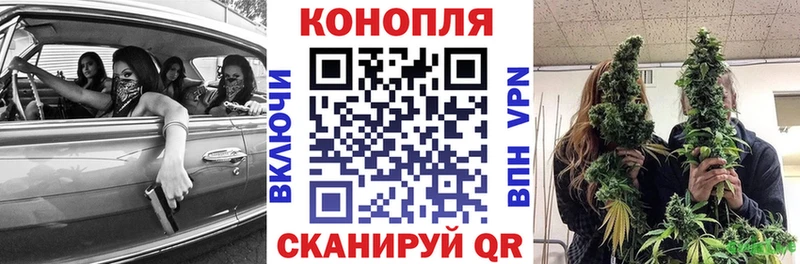 Марихуана сатива  купить наркоту  Новошахтинск 